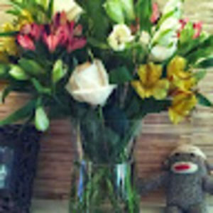 Meet your Posher, Barbara